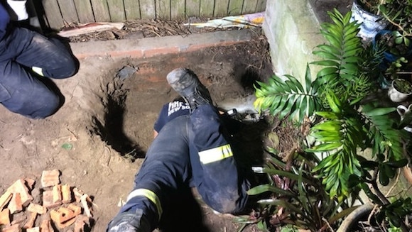 Firefighters from the NSW Fire and Rescue brigade at Narrabeen had to dig deep to rescue Misty, trapped in underground drain pipes in a Warriewood backyard. Picture: NSW Fire and Rescue (Narrabeen)