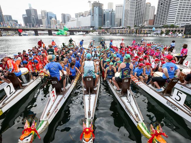 dragon boat racing sydney chinese new year