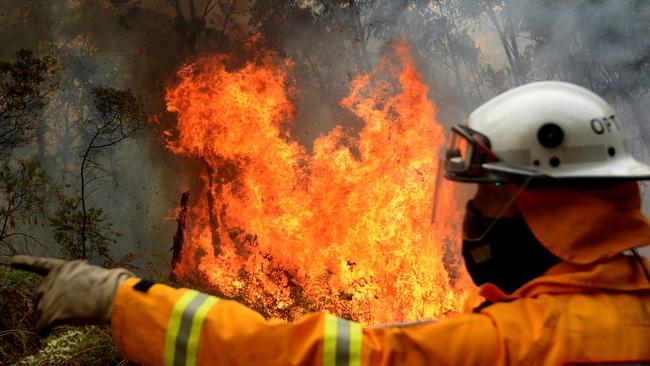 Firefighters backburn along Putty Road in Colo Heights in Sydney on Saturday. Picture: AAP