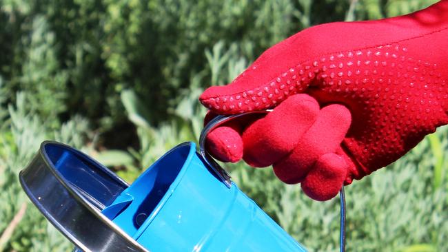 Elle Grips and Foxgloves Works gloves, worth $83, this month’s Twig prize for best letter.