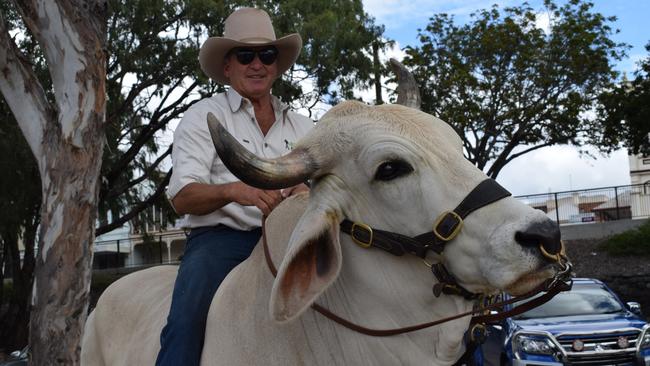 Ollie and his owner John Hawkes greeted a crowd at the Rockhampton riverbank on Sunday, May 2, ahead of Beef Australia 2021. Picture: Aden Stokes