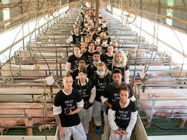 Activities inside a Glasshouse Country Farm facility at Beerburrum protesting what they claim is animal mistreatment.