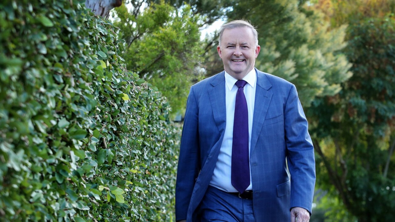 Albanese announces run for Labor leadership