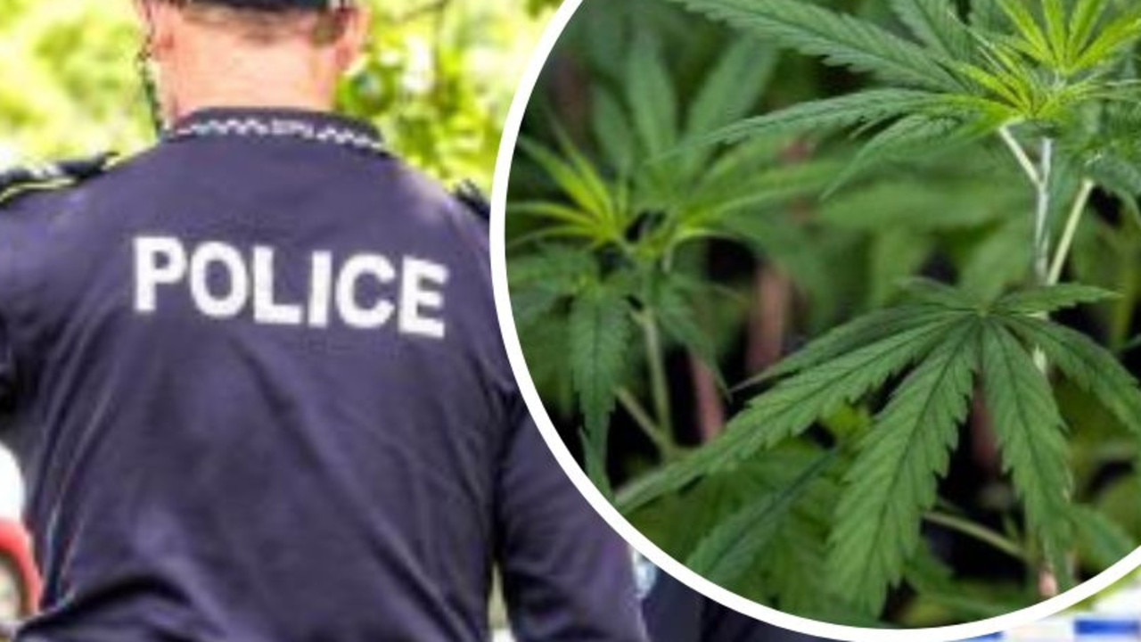 Police uncovered a cannabis growing set-up at a Capricorn Coast rural property. Generic image.