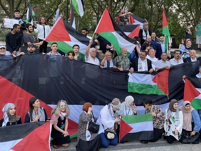 Canterbury-Bankstown council passed a motion on Tuesday's meeting to fly the Palestinian flag at two locations.