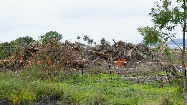 More of the animals’ habitat was cleared so a new Woolworths could be constructed in Trinity Beach. Picture: Brendan Radke