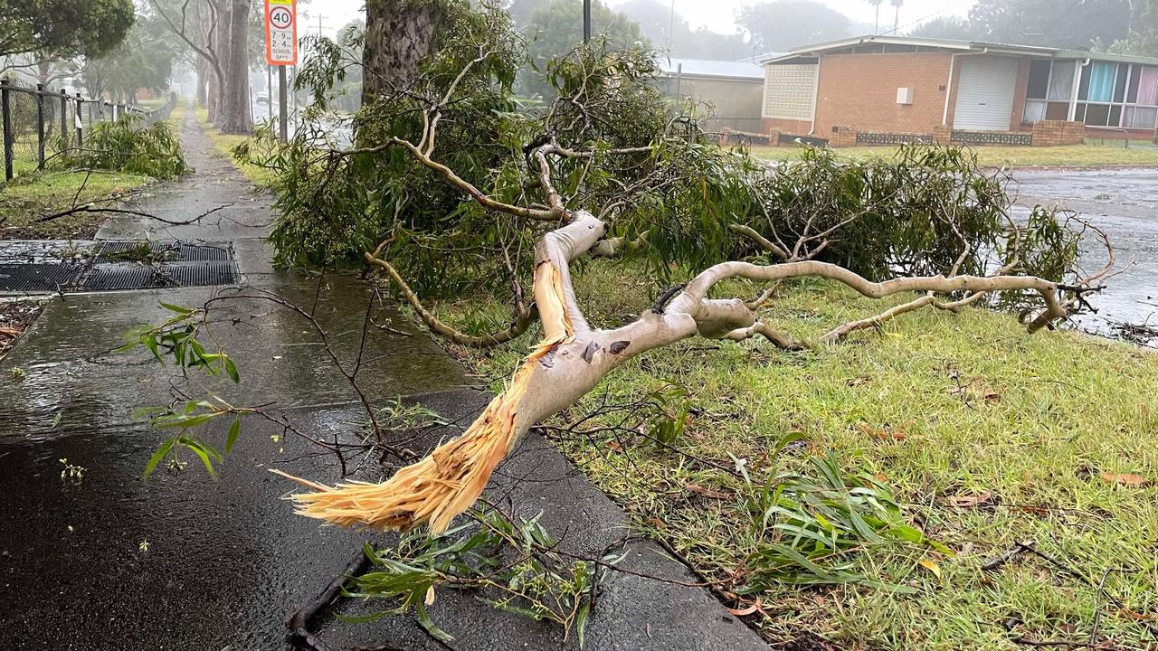 ‘Extremely frightening’: Trees down, mass power outages as ex-TC Alfred arrives