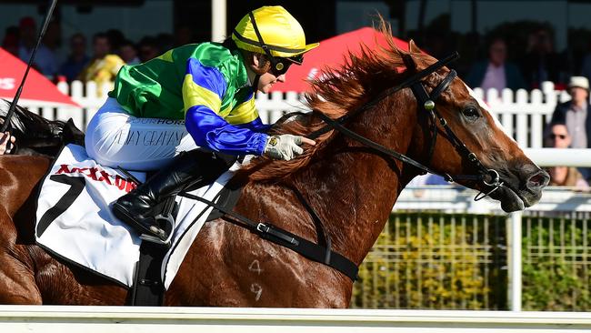 Apprentice jockey Cejay Graham rides Vodka Martini to victory for trainer Kelly Schweida at Doomben. Picture: Grant Peters-Trackside Photography