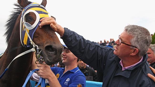 Part-owner Simon O'Donnell congratulates Ibicenco after he won the Geelong Cup. Picture: Getty Images