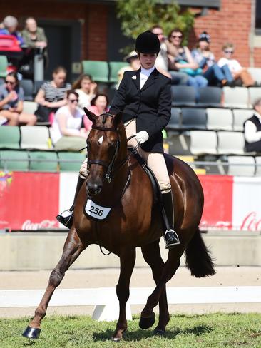 Rose McEvoy riding HB Beautiful Encounter. Picture: Zoe Phillips