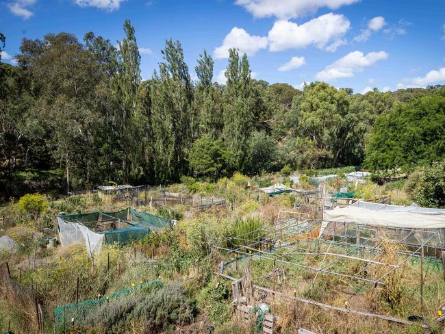 Collingwood Children's Farm has announced it will bulldoze its community garden which has been there for 42 years. Tim Handfield and other gardeners are angry that there was no consultation and there is no clear idea of how it will look in future. Picture: Jake Nowakowski