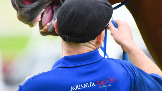 Tensions are threatening to boil over at Aquanita Racing. Picture: Vince Caligiuri/Getty