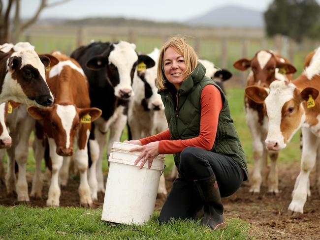 Norco dairy farmers will receive their payments within seven days. Picture: Nathan Edwards