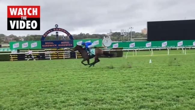 Rohan Browning races Lost and Running at Randwick Racecourse