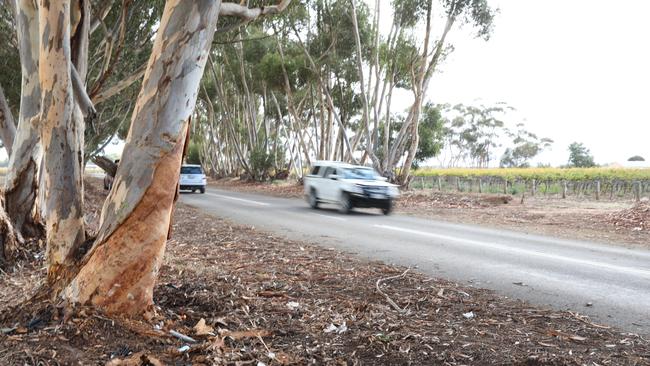 Teenager Johnny Howieson died after his car hit a tree on Lake Plains Rd near Langhorne Creek in South Australia. The impact was so significant it tore bark from the tree. Picture: Dean Martin