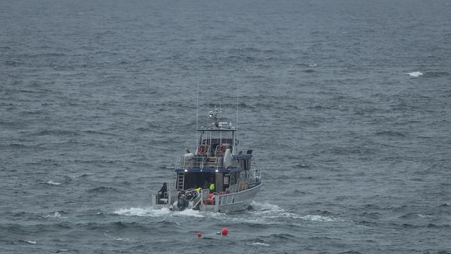 Fisheries NSW vessel off Bondi. Picture: Julian Andrews.