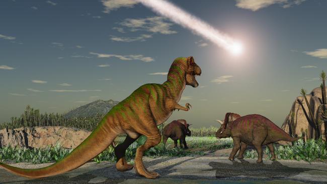 Non-progressive fauna restructured by rapid climate change ... not dinosaurs getting wiped out by asteroids. (Pic: iStock)