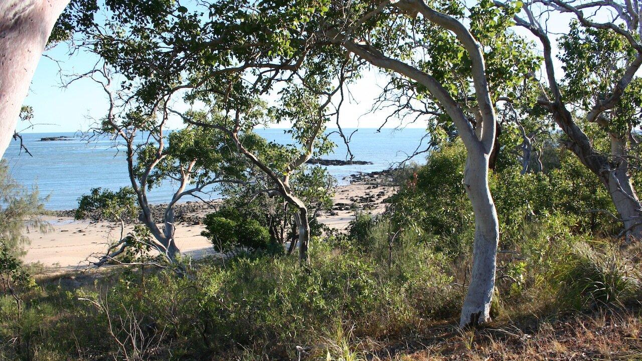 Wild Duck Island, located off Stanage Bay, is listed for sale for $4.5m, open to offers.