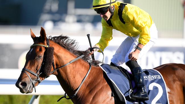 Addeybb is likely to return to Australia to defend his Queen Elizabeth Stakes crown. Photo: AAP Image/Dan Himbrechts