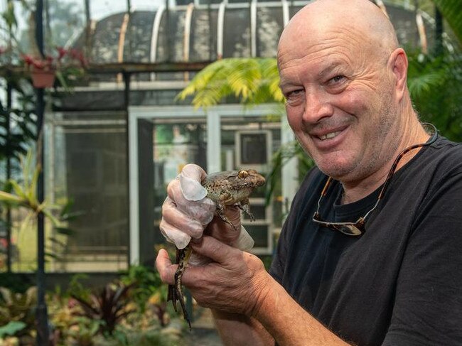 Peter Johnson with a giant barred frog. Picture: Supplied.