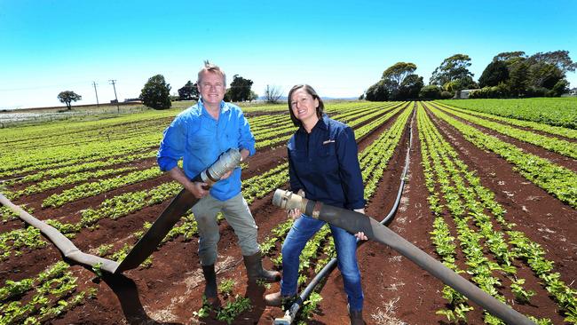 From farmer to politician: Rockliff and his wife Sandra Knowles connect irrigation pipes on a crop of parsnips at Sassafras. Picture: Chris Kidd