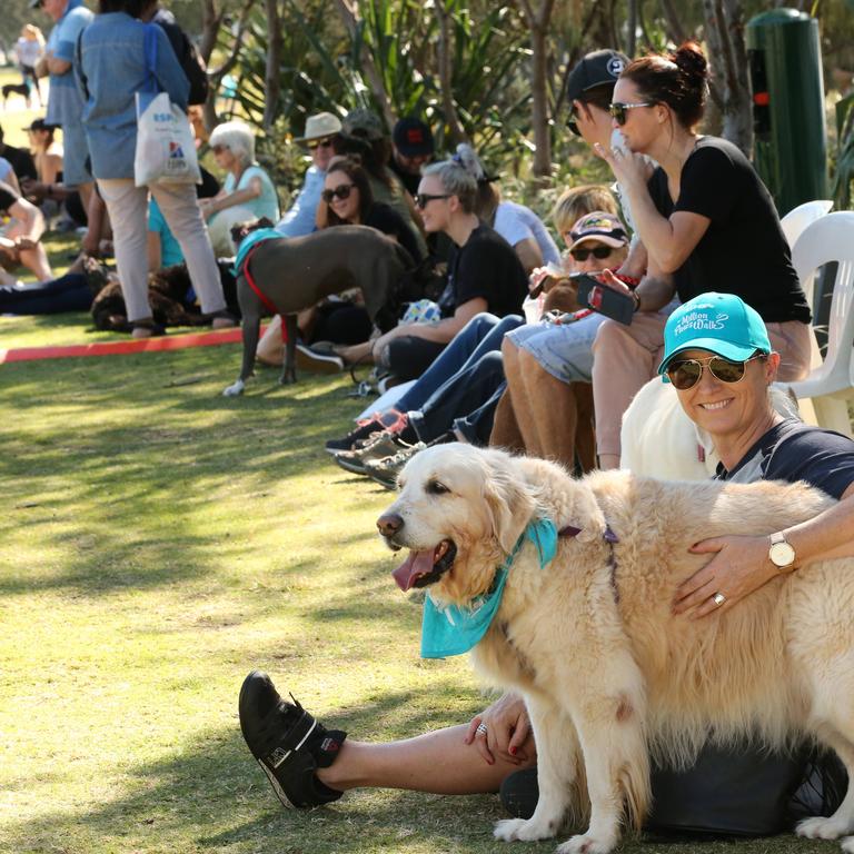 Pawfect pups walk for RSPCA | Gold Coast Bulletin