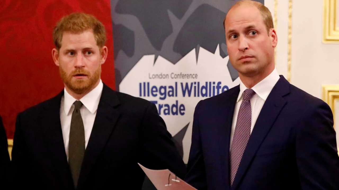 Prince William makes first public mention of Prince Harry in years