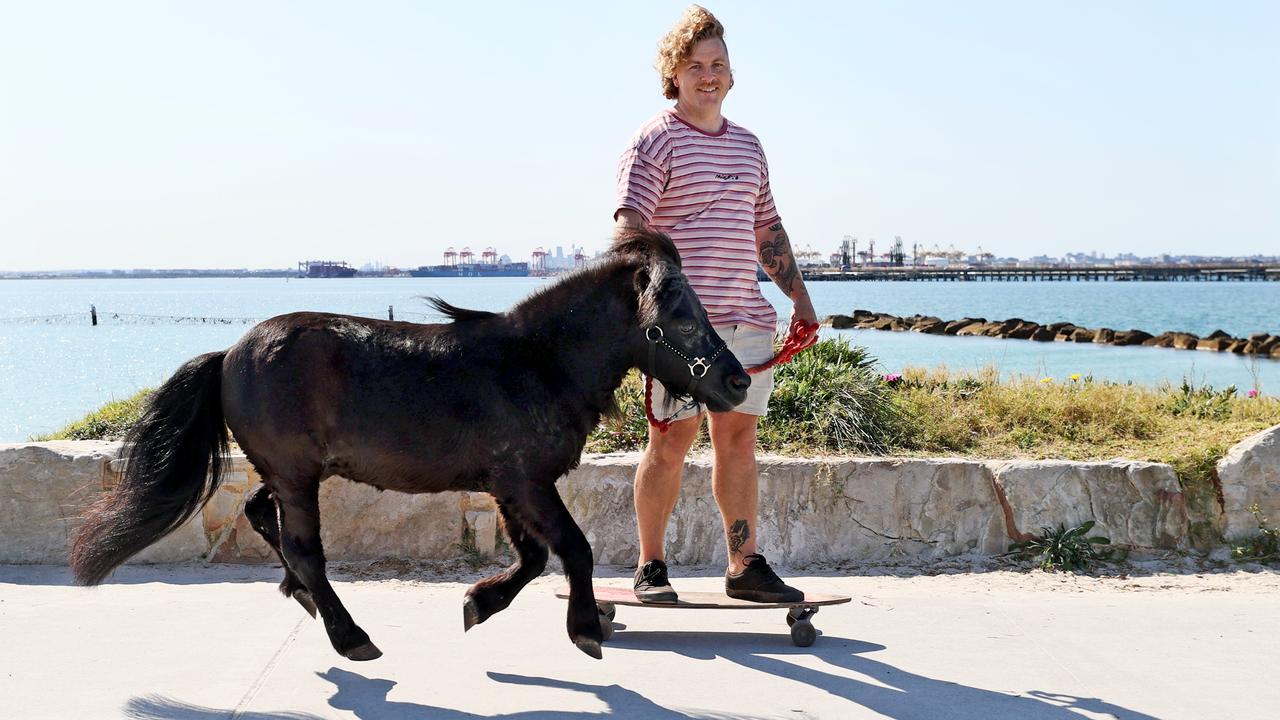 Shane Hendricks takes his miniature horse, Jimmy, for a run in Sydney’s Kurnell while he skateboards alongside. The pair have delighted locals for around 10 years with their unusual outings, but lockdown sightings have certainly spread the love. Picture: Toby Zerna