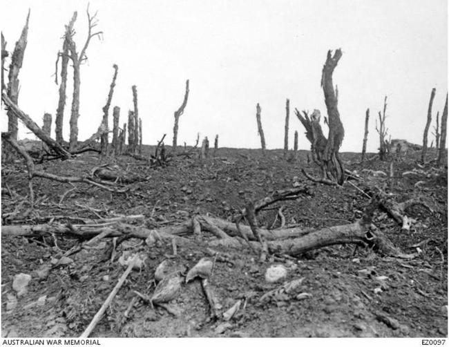 The battlefields of Pozieres, France, during the Battle of the Somme World War I. Picture: Australian War Museum