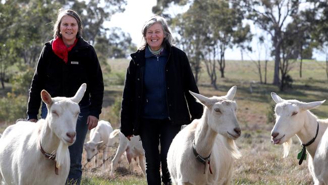 Ann-Marie Monda and Carla Meurs on their goat farm at Sutton Grange, central Victoria. Picture: David Geraghty / The Australian