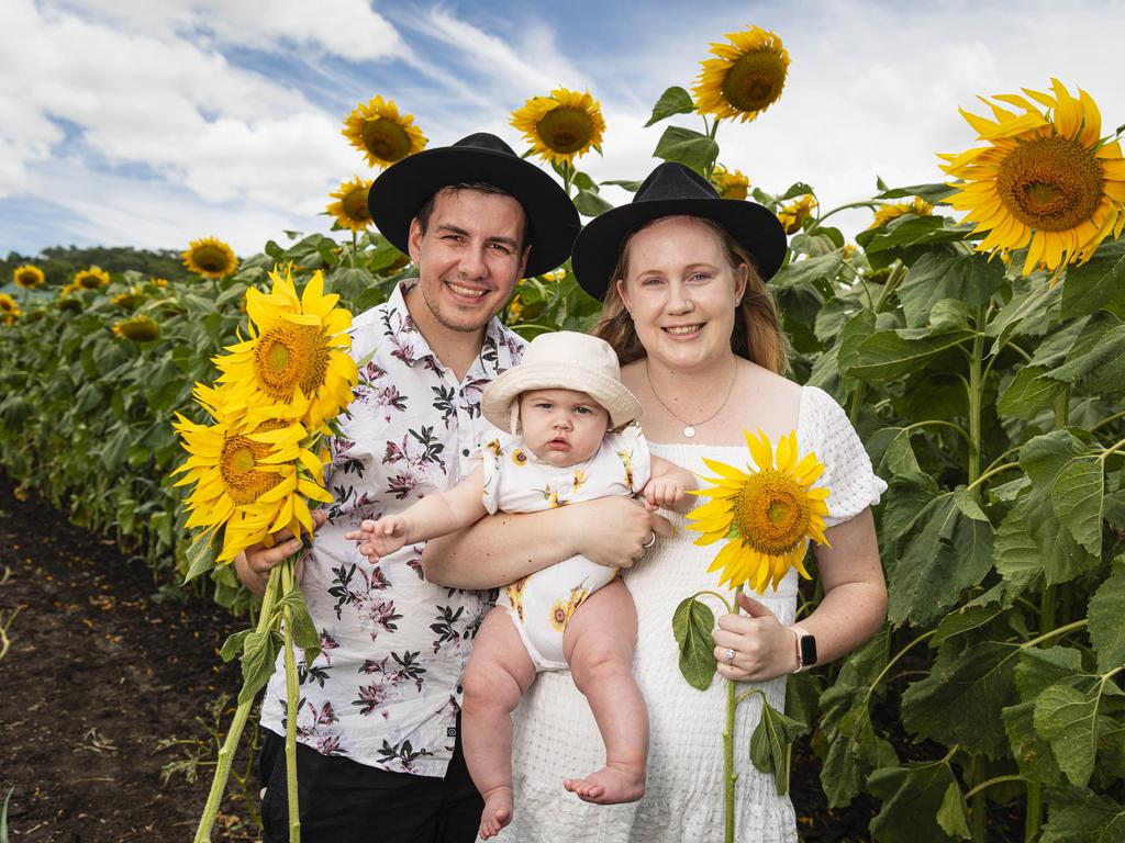 Tom and Tahlena Holsworth with baby Olive at the Lilyvale Flower Farm picking sunflowers, Sunday, February 2, 2025. Picture: Kevin Farmer