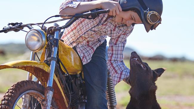 Levi Miller and Phoenix are inseparable in True Blue. Picture: Supplied