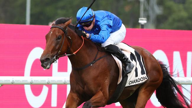 Zardozi had a second trial on Tuesday morning at Rosehill and she gets closer to a return. Picture: Jeremy Ng/Getty Images