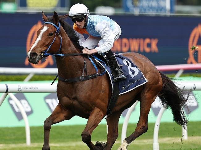 SYDNEY, AUSTRALIA - OCTOBER 05: Zac Lloyd riding State Of America wins Race 1 Midway during Sydney Racing at Royal Randwick Racecourse on October 05, 2024 in Sydney, Australia. (Photo by Jeremy Ng/Getty Images)