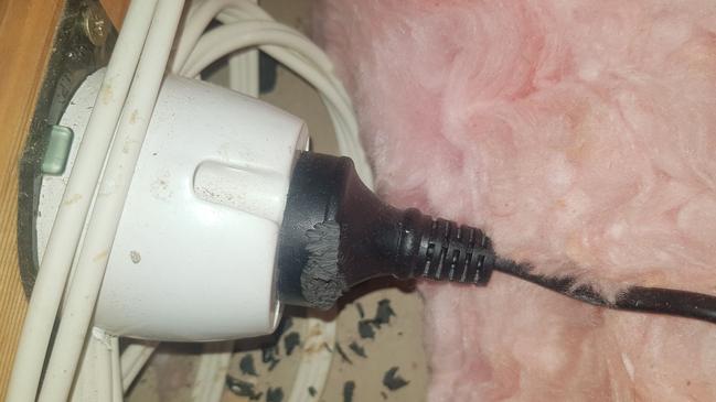 Damage to a power cord from rats.