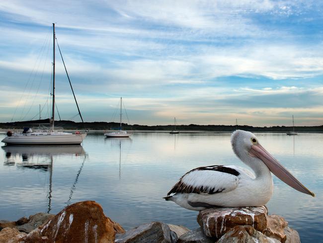 American River on Kangaroo Island. Picture: Julie Fletcher