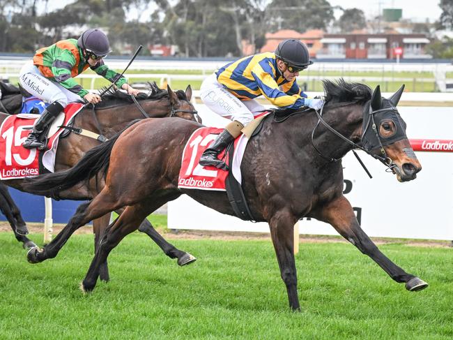 Snick ridden by Luke Currie wins the Connect Tel Special Ballot Maiden Plate (QC) at Geelong Racecourse on August 23, 2024 in Geelong, Australia. (Reg Ryan/Racing Photos via Getty Images)