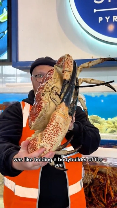 British food blogger slammed for 'cruel' act with sacred Australian crab