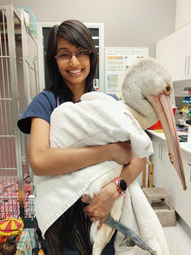 UQ Gatton vet technician Iffy Glendinning at the animal hospital.