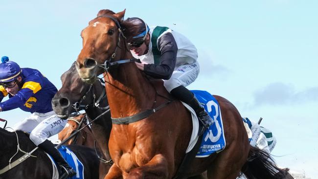 Rise At Dawn will back up in Saturday's Stradbroke Handicap. Picture: Racing Photos