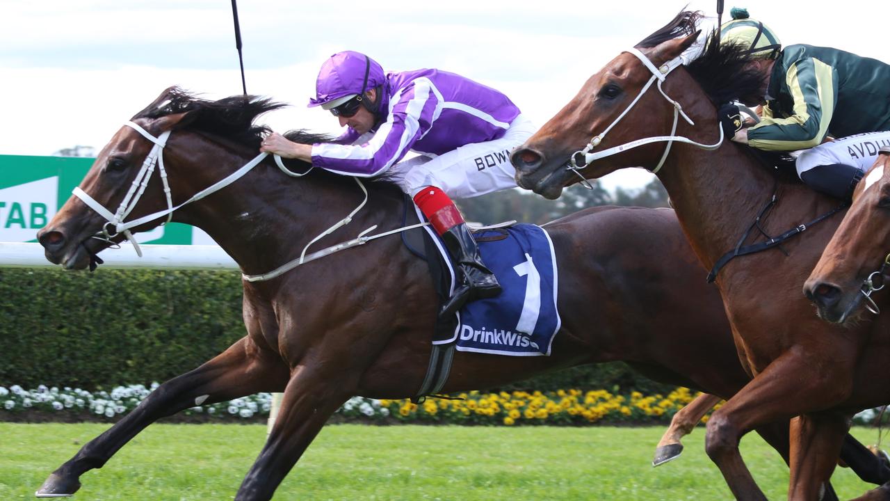 Tribeca Star (right) finishes second to Great Barrier Reef on debut at Warwick Farm. Picture: Grant Guy