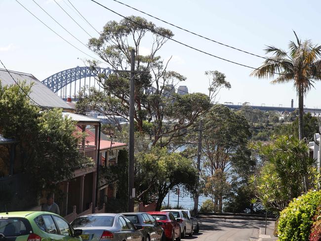 Trees in Balmain East, Sydney. Picture: Craig Wilson