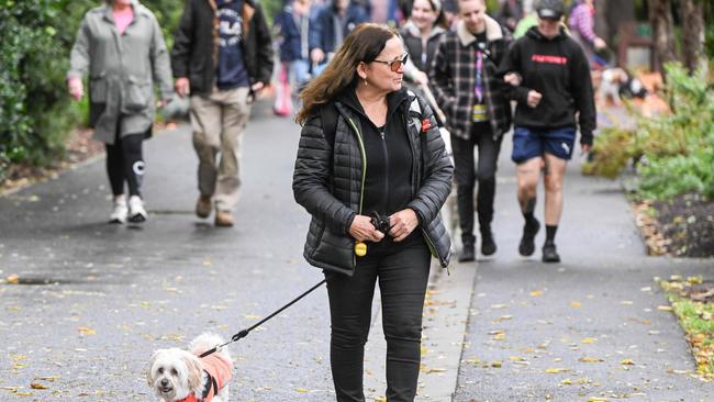 Million Paws Walk at Adelaide Botanic Gardens. Picture: Brenton Edwards