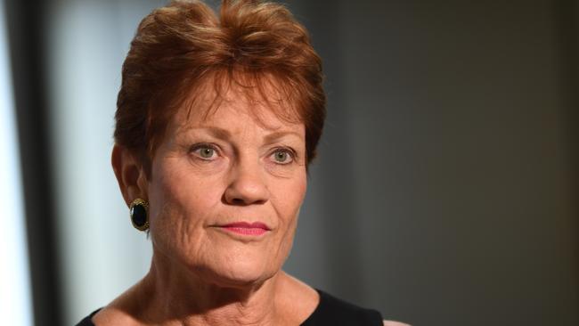 Pauline Hanson thinks we have gone ‘over the top’ in responding to the coronavirus pandemic.