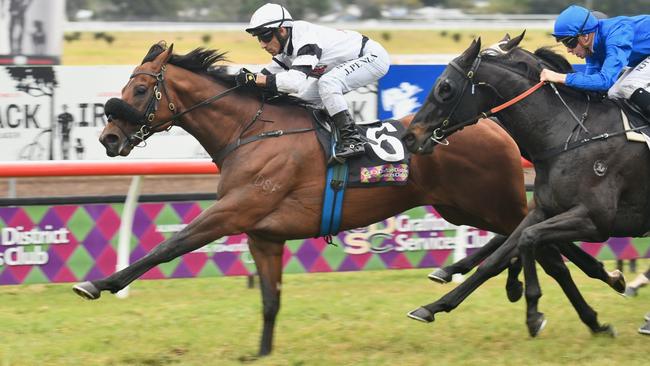 Jockey Jeff Penza brings home Signore Fox, from the Peter and Paul Snowden stables, after the four-year-old snatched victory in the 2020 GDSC Ramornie Handicap.