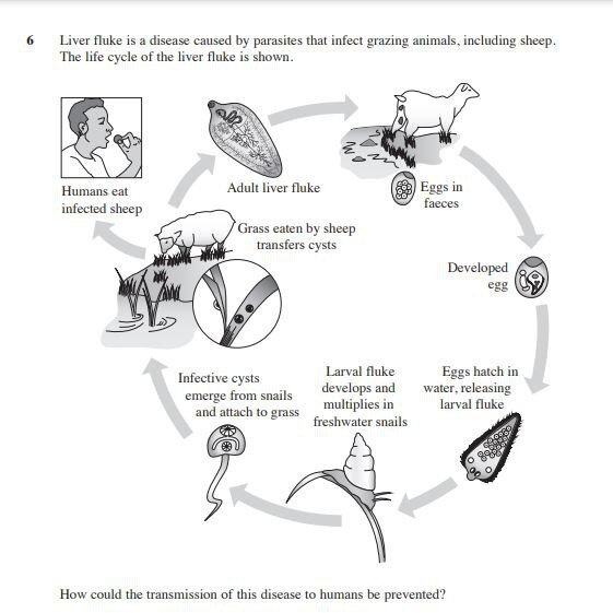 Question 6 from the 2023 HSC Biology exam. Picture: NSW Education Standards Authority