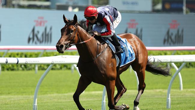 Point And Shoot was a brilliant winner at Randwick on Saturday. Picture: Jeremy Ng/Getty Images