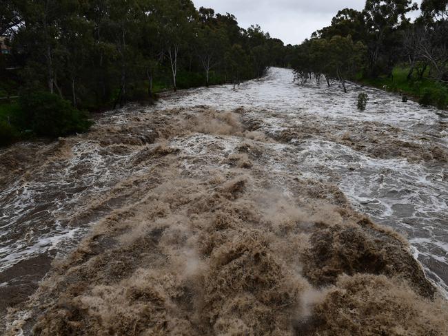 Flooding at the Torrens weir. Picture: Campbell Brodie