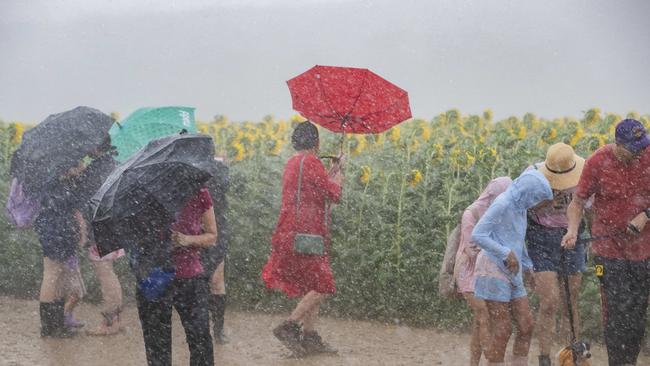 Patrons try not to let thunderstorms dampen their spirits at the Kalbar Sunflower Festival on Sunday. Picture: Richard Walker