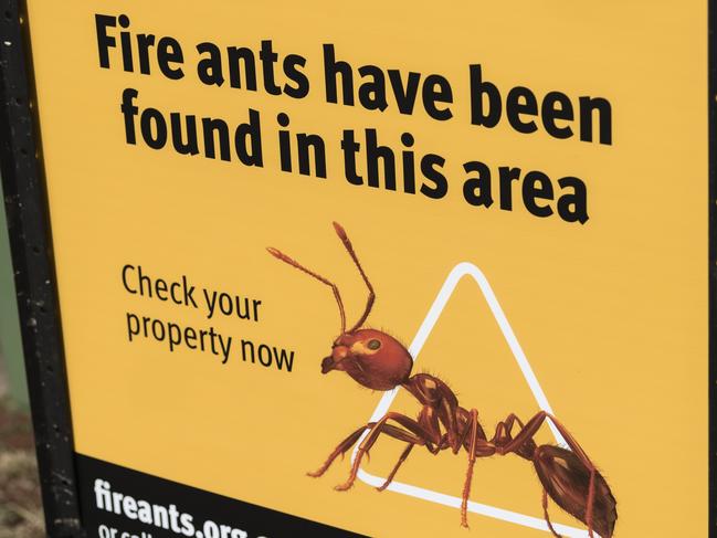 A Queensland government sign in Highfields advises that fire ants have been found in the area, Monday, July 17, 2023. Picture: Kevin Farmer